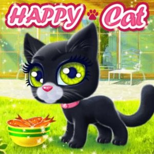Kitten Care Adventure