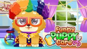 Pet Grooming and Dress-Up Fun