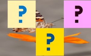 Wing Pattern Sliding Puzzle