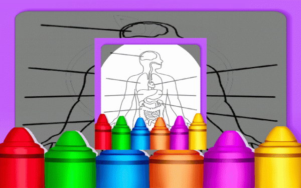 Hard Body Coloring For Kids: Anatomy Coloring Book