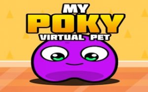 Poky Pet Care Adventure
