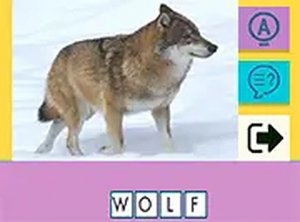 Wildlife Word Recognition Game
