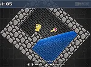 Dungeons N' Ducks Puzzle Game
